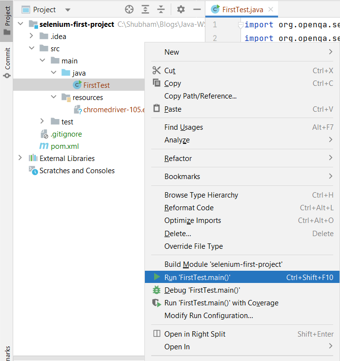 Selenium - Run the Test Case